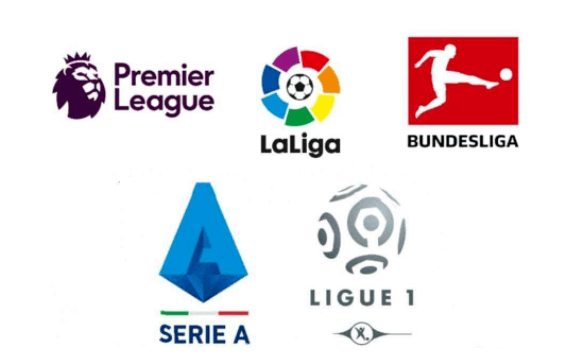 他们在赛季 他们在赛季